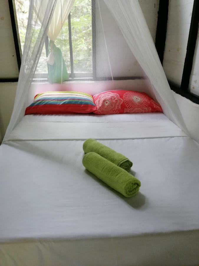 Eco Hostal Los Cocos Isla Grande  Exterior photo