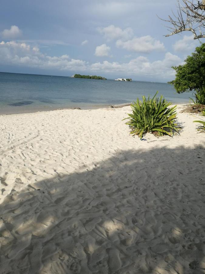 Eco Hostal Los Cocos Isla Grande  Exterior photo